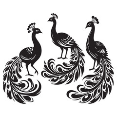 Fototapeta premium create peacock bird Silhouette with white background
