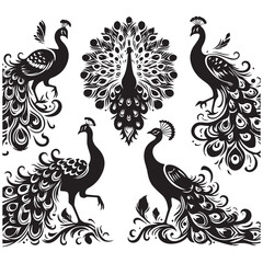 create peacock bird Silhouette with white background