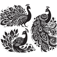 Fototapeta premium create peacock bird Silhouette with white background