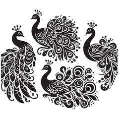 create peacock bird Silhouette with white background