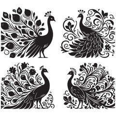 create peacock bird Silhouette with white background