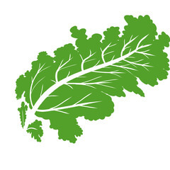 Green leaf illustration