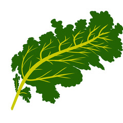 Green leaf illustration