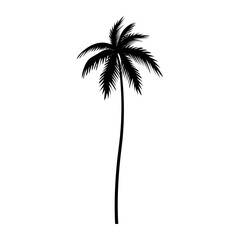 Palm tree icon vector. Tree illustration sign. Island symbol. Rest logo.