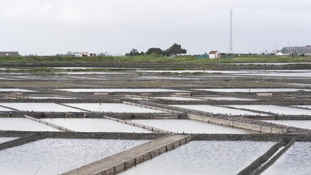 Close up view of a salt farm (salinas) in Ria de Aveiro, farm full of water waiting for the evaporation process. Steady camera and cloudy sky. Edges of the salinas full of small birds