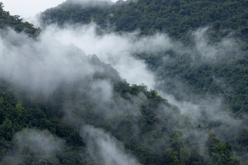 Landscape of Morning Mist with Mountain Layer. mountain ridge and clouds in rural jungle bush forest