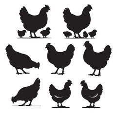 set of chicken silhouettes