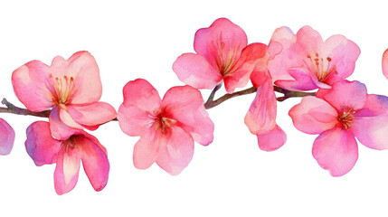 Delicate watercolor artwork showcasing pink blossoms on a branch with white background