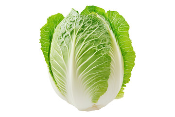 Whole green savoy cabbage with textured crinkled leaves isolated on transparent background. Concept of fresh organic vegetables and healthy eating