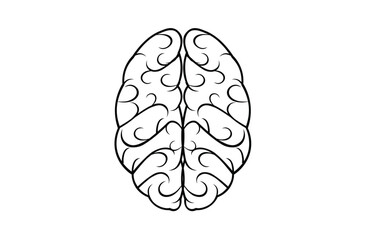 human brain vector illustration