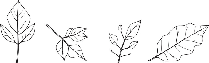 Set of leaves, flat silhouette. Hand drawn vector illustration