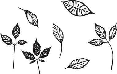 Set of leaves, flat silhouette. Hand drawn vector illustration
