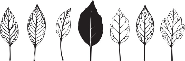 Set of leaves, flat silhouette. Hand drawn vector illustration