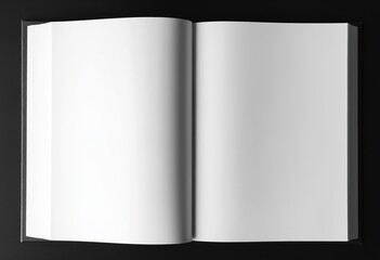 A book with blank pages, ready to write a new story