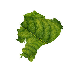 Ecuador Map Made Of Green Leaves On White Background Ecology Concept 3d Illustration