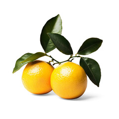 Ripe Lemons with Leaves on a Transparent Background