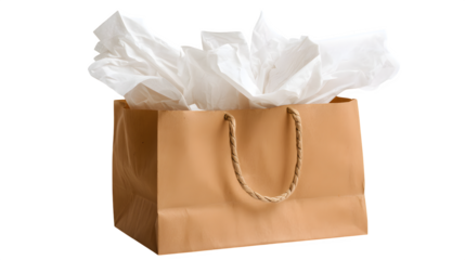 A shopping bag with tissue paper peeking out isolated on white background