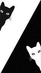 Black or white, choose your side