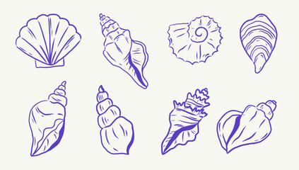 Set of hand draw Sea shells collection.