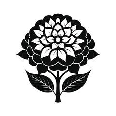 black and white illustration stylized hydrangea flower for web and graphic