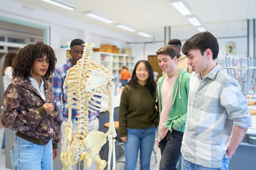 Students studying human skeleton in biology class at university