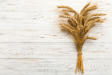 Sheaf of wheat ears close up and seeds on colored background. Natural cereal plant, harvest time...