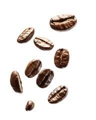 Obraz premium Roasted Coffee Beans Falling Dark Background