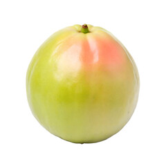 Single Ripe Green Guava Fruit Isolated on Black Background