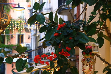 夕暮れのタオルミーナの街並み