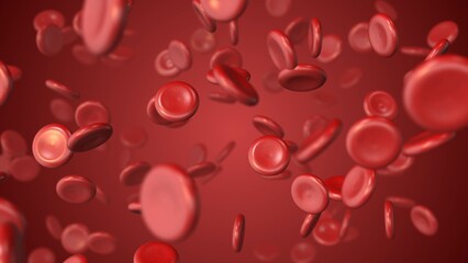 Circulatory Pathway of Red Blood Cells