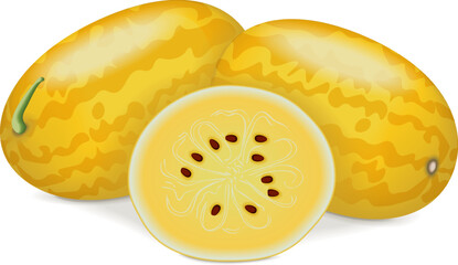 Whole and chopped Gold in Gold Watermelon. Citrullus lanatus. Fruits and vegetables. Isolated vector illustration.
