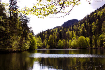 Tranquil Länqsee lake in Tyrol reflects the lush green forests and mountains under a soft,...