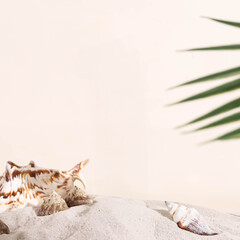cat lying on the bed