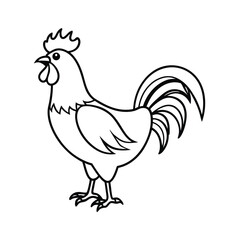 Simple outlined rooster illustration graphic resource farm animal icon poultry bird vector design