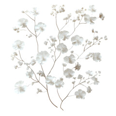 Elegant White Flower Illustration