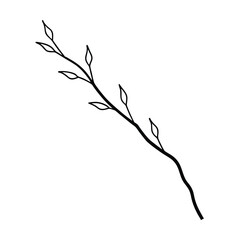 Fototapeta premium Minimalist botanical illustration of a twig with emerging leaves simple black and white hand drawn floral element