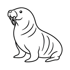 Simple outline drawing of a walrus sitting down animal illustration for kids coloring book or educational resources