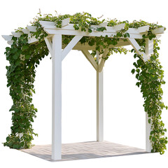 Fototapeta premium Pergola
