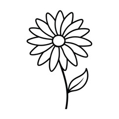 Simple daisy flower outline vector graphic isolated on white background for coloring pages and design