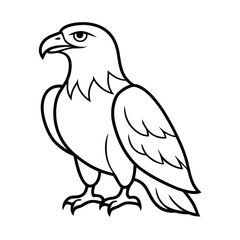 Majestic eagle outline illustration bald bird of prey icon american symbol simple vector design