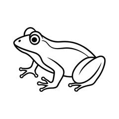 Outlined frog illustration for coloring pages and educational resources amphibian animal image simple line art