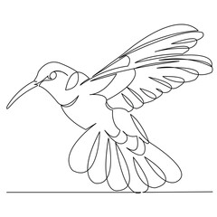 One continuous single drawing line art flat doodle hummingbird, bird, feather, background, wing, color, colibri. Isolated image hand draw contour on a white background
