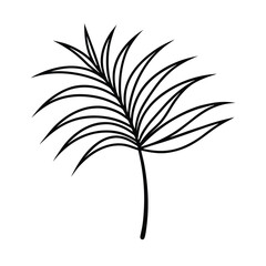 Minimalist line art of a tropical palm leaf isolated on white background for creative design