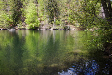 A tranquil Pfrillsee lake reflects the lush green forest under the bright daylight