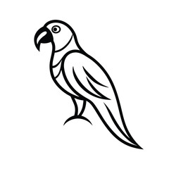Obraz premium parrot tribal style black line art vector on white for web and graphic design