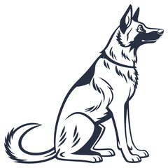 dog on white background