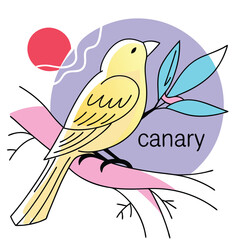 Canary Bird Illustration Vibrant Yellow Songbird for Creative Designs