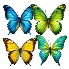 Obraz premium set of beautiful blue green, yellow butterfly's isolated on white background