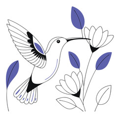 Hummingbird Illustration: Elegant and Colorful Avian Art for Nature and Wildlife Projects