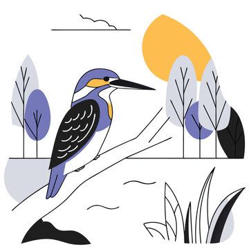 Kingfisher Bird Illustration Elegant and Colorful Avian Art for Nature and Wildlife Projects